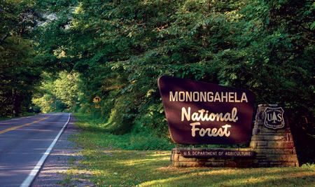 Monongahela-National-Forest
